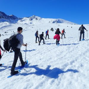 pack raquetas de nieve