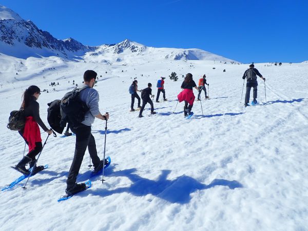 pack raquetas de nieve