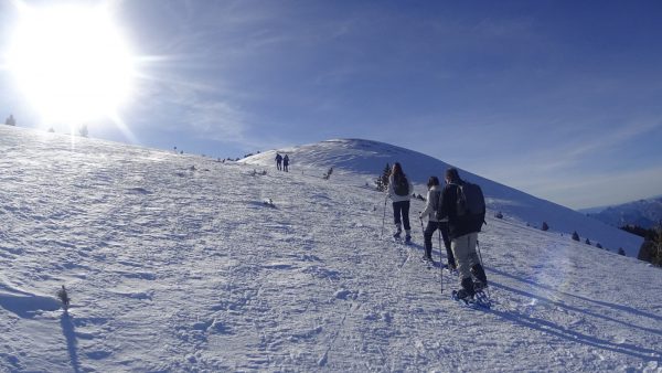 TARJETA REGALO - RAQUETAS DE NIEVE