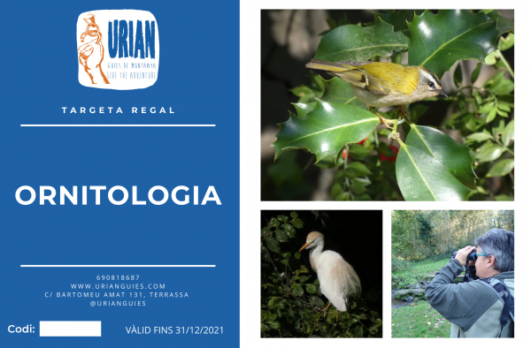TARJETA REGALO - ORNITOLOGIA - Imagen 2